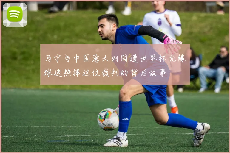 马宁与中国意大利同遭世界杯无缘球迷热捧这位裁判的背后故事